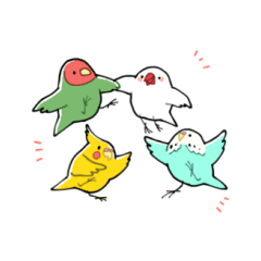 Funny birds by tricotricot