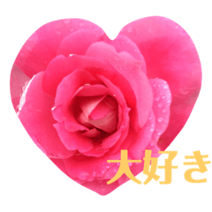 flower colors