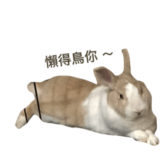 大少爺嘟小比