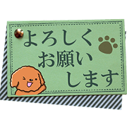 Polite Toy poodle (Wall Decoration)