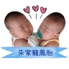 朱家龍鳳胎