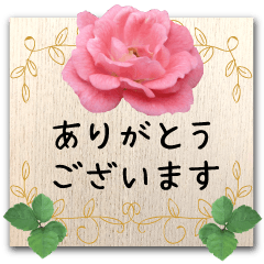 オトナ可愛い 花と緑のメッセージボード