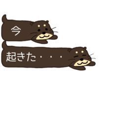 Otters - Daily -