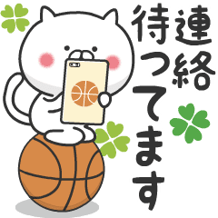 The cat loves basketball!4