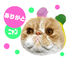 はなペチャ猫のガブリエル 1 Line スタンプ Line Store