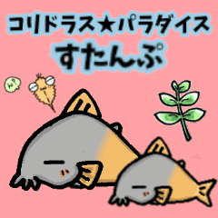 コリドラス パラダイスすたんぷ Line スタンプ Line Store