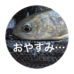 Fish talking2