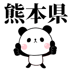 tanuchan Kumamoto panda