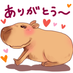 Cawaii Capybara2