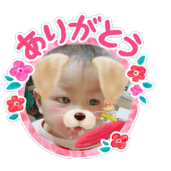 maki   stamp