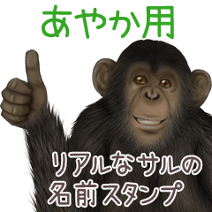 Ayaka Monkey's real name Sticker