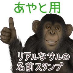 Ayato Monkey's real name Sticker
