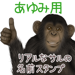 Ayumi Monkey's real name Sticker