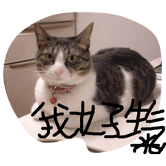 你是vivi (687)
