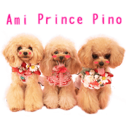 Ami pino Prince Cute Sticker