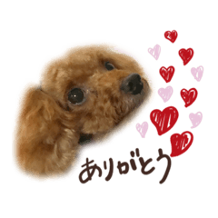 Stamp of dog .
