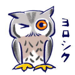 Five kinds of pretty owls
