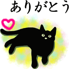 Simple black cats -daily use-