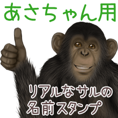 Asachan Monkey's real name Sticker
