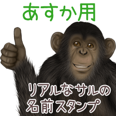 Asuka Monkey's real name Sticker