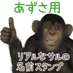 Azusa Monkey's real name Sticker