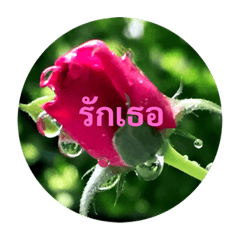 Speaking Flowers