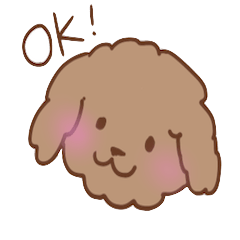 brown cute dog poodle