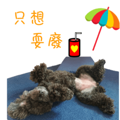 我家萌萌