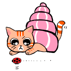 Hermit orange cat