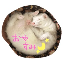 Stamp of Mr. with, Mr. MOGU and a lily