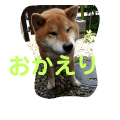 kenchan!!!