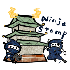 Cats Ninja "Silas"