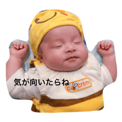 nanachan 1