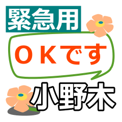 Emergency use[onogi]name Sticker25