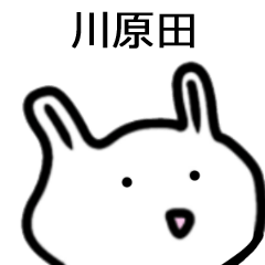 Nice Rabbit sticker for KAWARADA