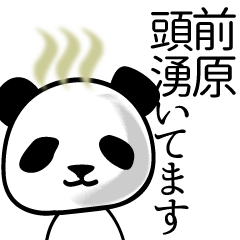 Panda sticker for Maehara