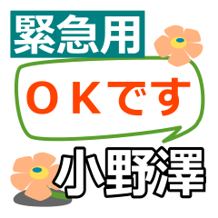 Emergency use[onozawa]name Sticker25