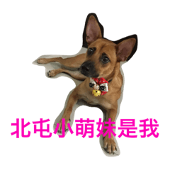 pepehsu