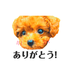 sui_chan