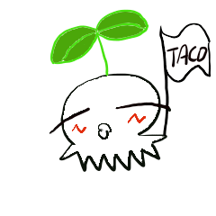 Chic baby taco