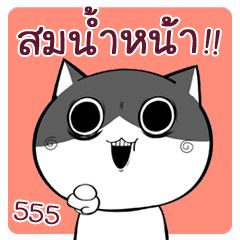Kotetsu The Cat (Thai)