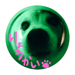 KOTAROU_san