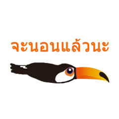 Life of Toco Toucan
