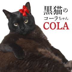 Black cat's cola