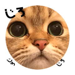 tinalovely