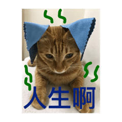 威威綠綠趴吐