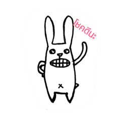 rabbit18