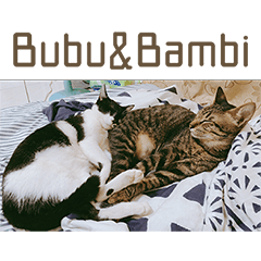 Bubu&Bambi2