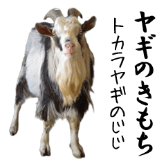 Goat Yoshigake Farm 3