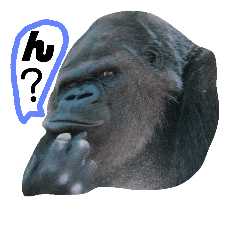 Zoo 2018.M